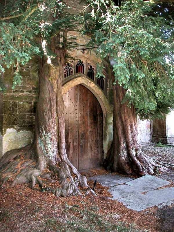 Photo:  This door is over 275 years old! Cotswolds, England